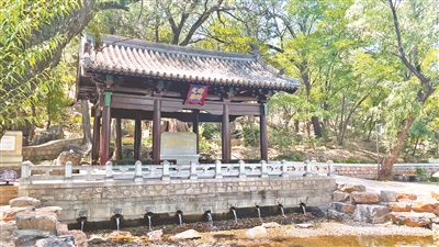 运河111.jpg